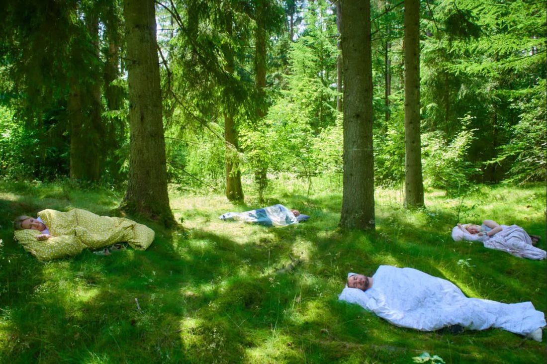 Nachtlager im Wald